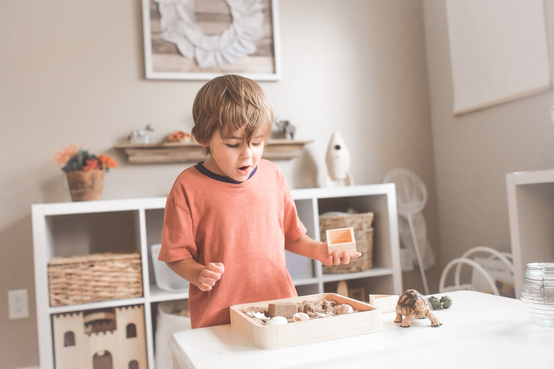 Boy playing with toys