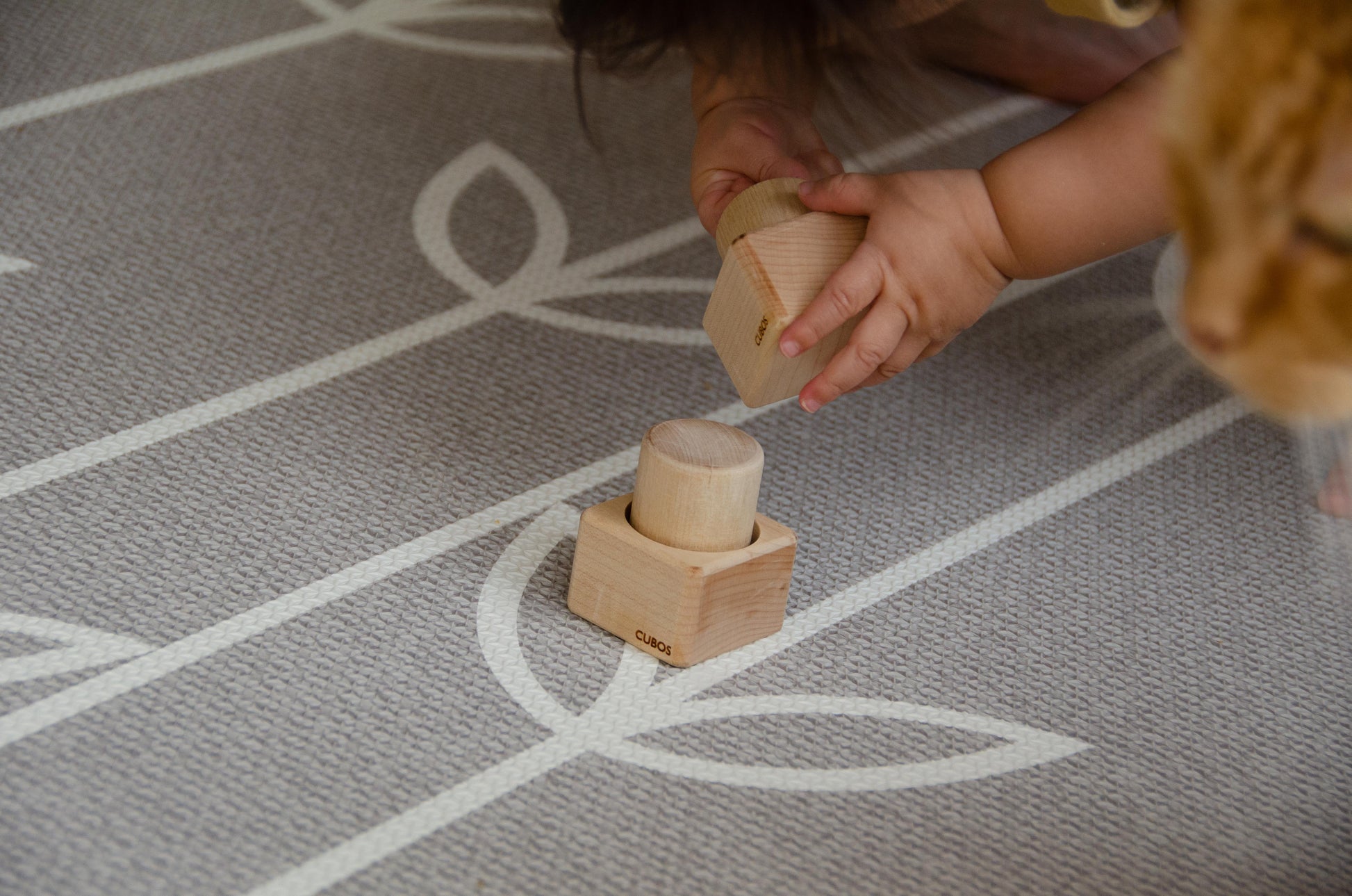The baby girl is thoroughly enjoying her playtime with Cubos Pincer & Palmer Block. With her tiny hands, she skillfully manipulates the blocks, using the pincer grip to grasp and place them. This interactive and tactile play enhances her fine motor skills, hand-eye coordination, and cognitive development as she explores the different shapes and builds various structures. Her joyful engagement with the educational toy fosters early learning and creativity, making playtime an enriching experience for her.