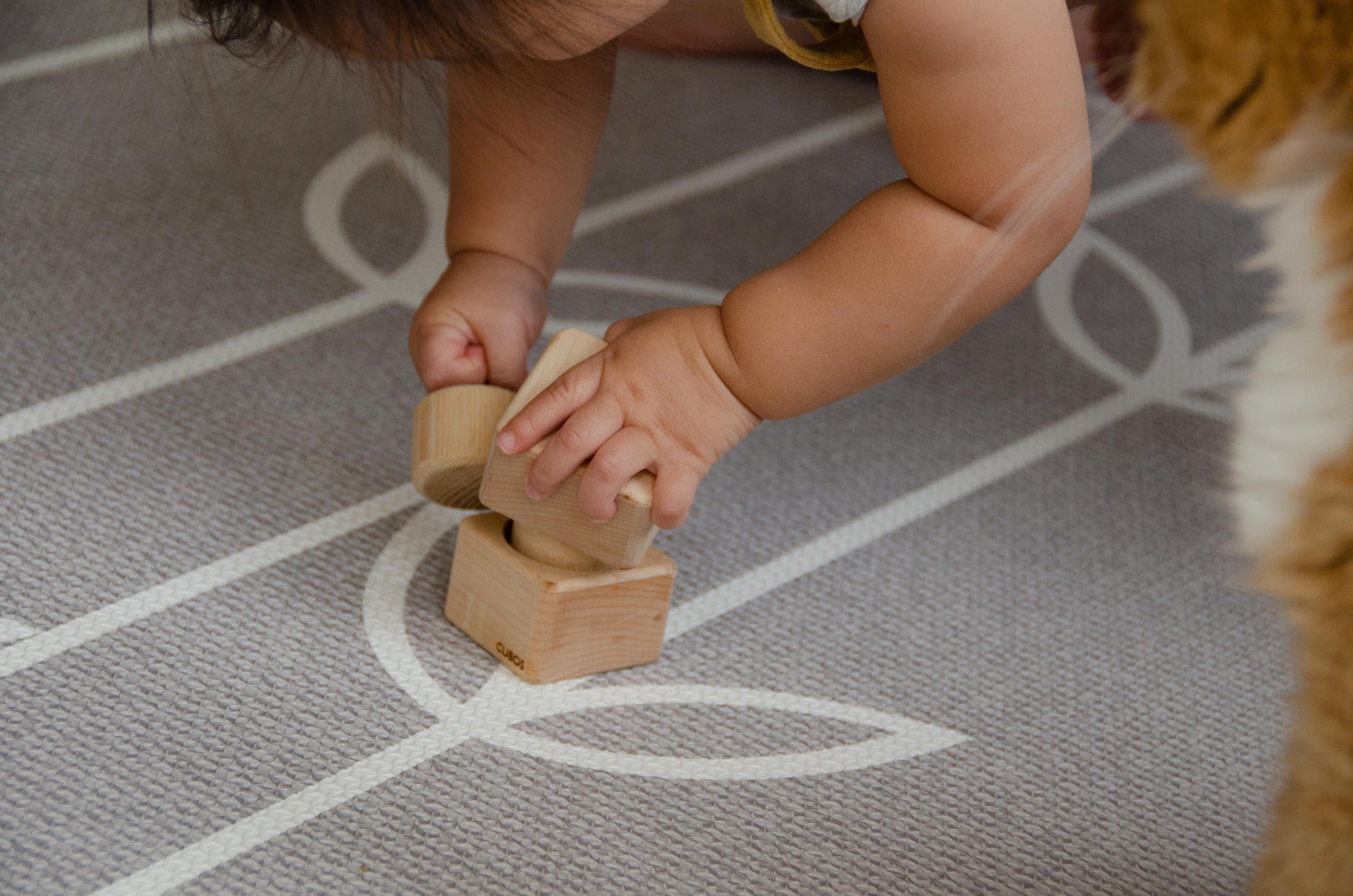 The baby girl is thoroughly enjoying her playtime with Cubos Pincer & Palmer Block. With her tiny hands, she skillfully manipulates the blocks, using the pincer grip to grasp and place them. This interactive and tactile play enhances her fine motor skills, hand-eye coordination, and cognitive development as she explores the different shapes and builds various structures. Her joyful engagement with the educational toy fosters early learning and creativity, making playtime an enriching experience for her.